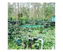 6 Acre Coffee Land for Sale Near Magge,Alur