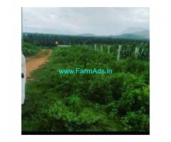 11 Acre Farm Land for Sale Near Sakarayapatna