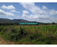 3.25 Acre Farm Land for Sale Near Chikmagalur