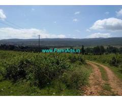 3.25 Acre Farm Land for Sale Near Chikmagalur