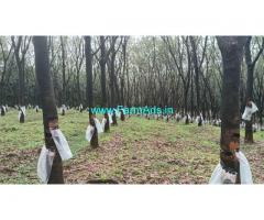 60 Acres Rubber, Areca and Coconut Plantation for sale at  madanthyaru