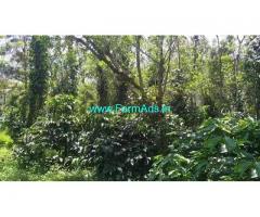 1 Acre Coffee Land for Sale Near Valad