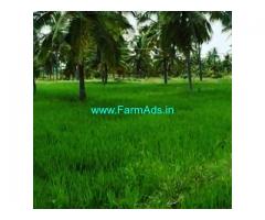 30 Acre Farm Land for Sale Near Chikmagalur