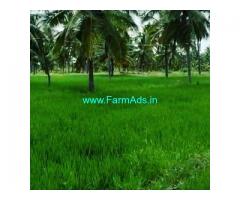 30 Acre Farm Land for Sale Near Chikmagalur