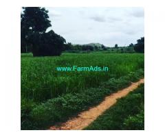 1.27 Acre Farm Land for Sale Near Gauribidanur