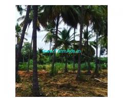 7 Acre Farm Land for Sale Near Doddaballapur