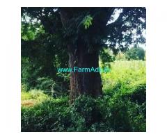1 Acre Farm Land for Sale Near Doddaballapur