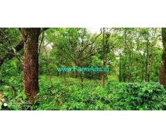 3 Acre Coffee Land for Sale Near Chikmagalur