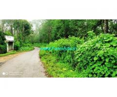 3 Acre Coffee Land for Sale Near Chikmagalur