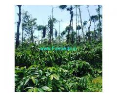 50 Acre Coffee Land for Sale Near Chikmagalur