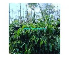 50 Acre Coffee Land for Sale Near Chikmagalur