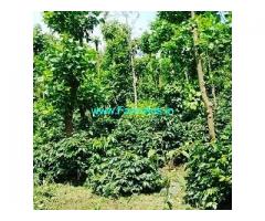 17 Acre Coffee Land for Sale Near Hassan
