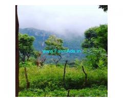 1 Acre Farm Land for Sale Near Chikmagalur