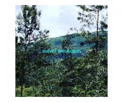 9.5 Acre Coffee Land for Sale Near Chikmagalur