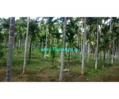 12 acres Coconut Arecanut plantation for sale Near Gudihalli, Hiriyur