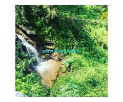 30 acre Pepper plantation for sale in Hassan