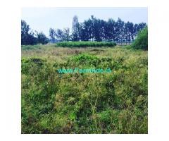 60 Gunta Agriculture Land for Sale Near Chikmagalur