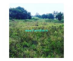 60 Gunta Agriculture Land for Sale Near Chikmagalur