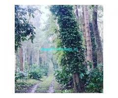 10 acre coffee estate for sale in Hassan