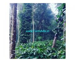 10 acre coffee estate for sale in Hassan