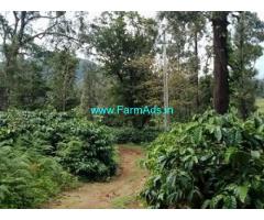 30 acre coffee estate for sale in Sakleshpur