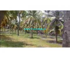 18 Acres Coconut Grove for sale at Aaluru, Near Hiriyur.