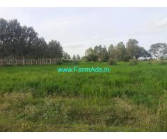 35 guntas farm land for sale at Thaadipalya village Doddabelavangala