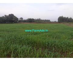 2 Agriculture Land for Sale at Rampura village,  Doddabelavangala