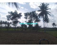 1.01 Acre Agriculture Land for sale near Srirangapatna.