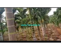 3.32 Acres Arecanut Plantation for sale at Aaranakatte, Hiryur,