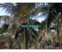 10.5 acres of coconut farm for sale near pollachi