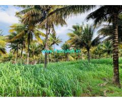 10 acres well maintained coconut Planataion for sale in Attappadi