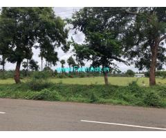 3.30 acres of coconut land is available for sale near pollachi