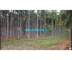 5 Acres Yeilding Arecanut plantation for sale at Babbur, Hiriyur