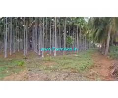 5 Acres Yeilding Arecanut plantation for sale at Babbur, Hiriyur