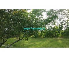 21.5 acre farm land available for sale at Mandya