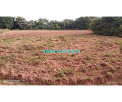 21.5 acre farm land available for sale at Mandya