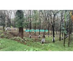 50 acre Rubber Estate for sale at Manipal, Udupi