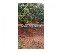 3 Acres Mango and Coconut Farm Land for sale at Ramangara.