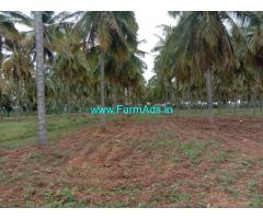 6 Acres Coconut farm Grove for sale at chitradurga.