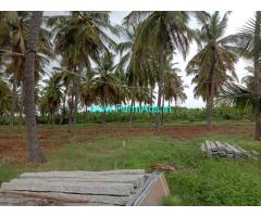 6 Acres Coconut farm Grove for sale at chitradurga.