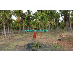 4 Acres Arecanut coconut plantation for sale Near VVS dam, Hiriyur