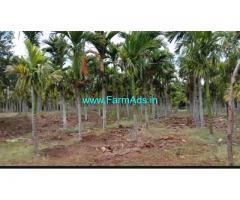 4 Acres Arecanut coconut plantation for sale Near VVS dam, Hiriyur