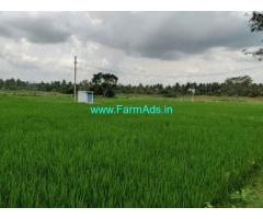 11 Acres Coconut Farm for sale at Nidigul, Kanakapura