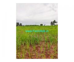 4 Acres Farm Land for sale 44 KMS from Mysore ring road.