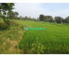 6.21 Acres Agriculture land for sale at Shambanahalli near Bilikere