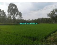 6.21 Acres Agriculture land for sale at Shambanahalli near Bilikere