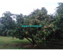 12 Acres Mango farm for sale at kollamkode area
