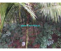 36 Cents Farm Land for Sale at Adoor