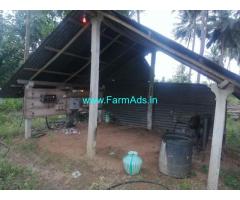 3.25 acre coconuts farm and banana farm for sale at  kumiitipathy